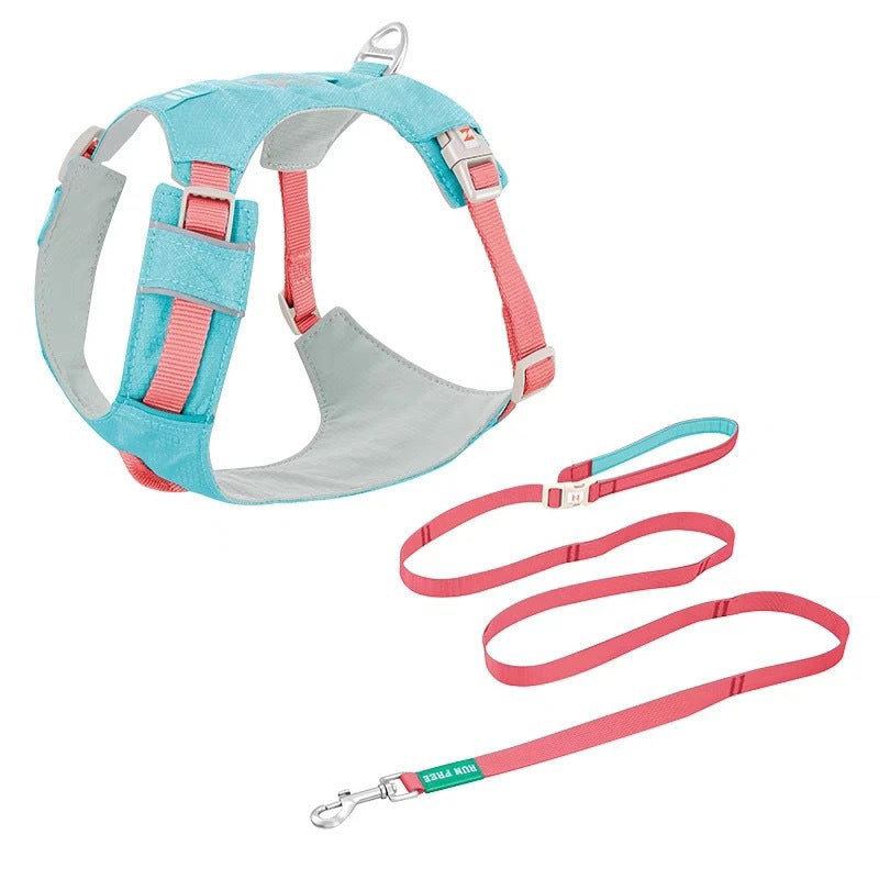 Premium Dog Harness and Leash