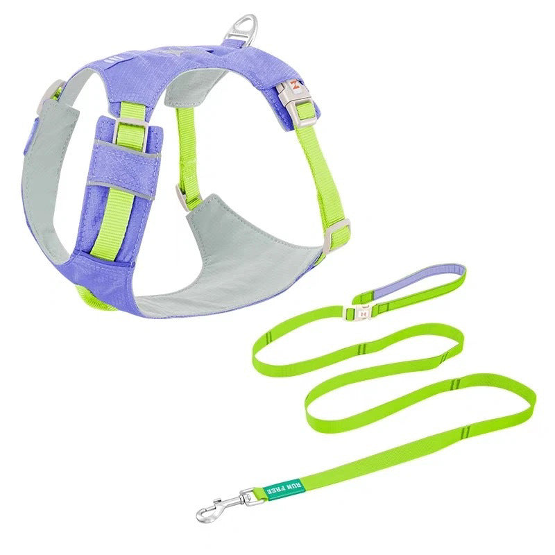 Premium Dog Harness and Leash