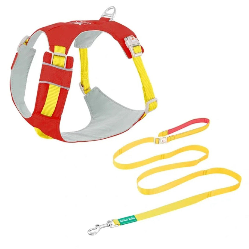 Premium Dog Harness and Leash