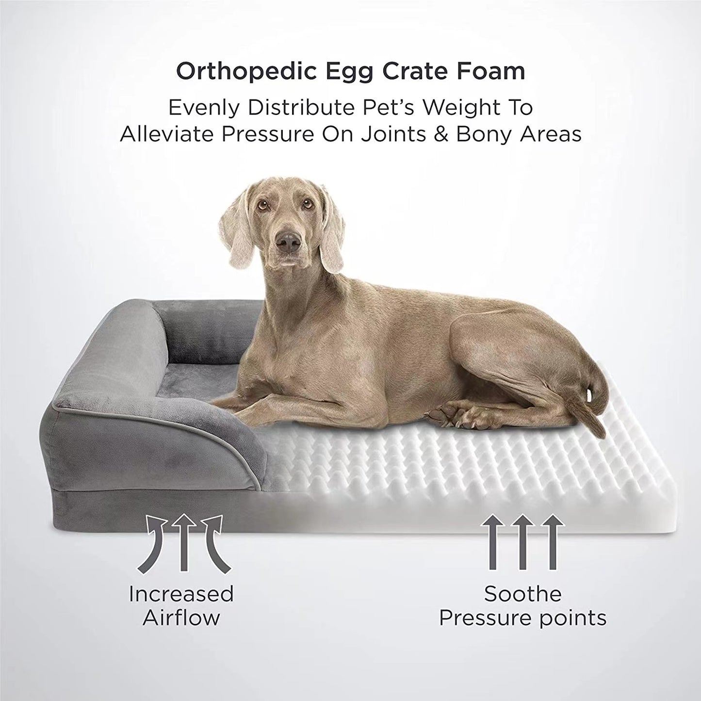 Washable Pet Bed
