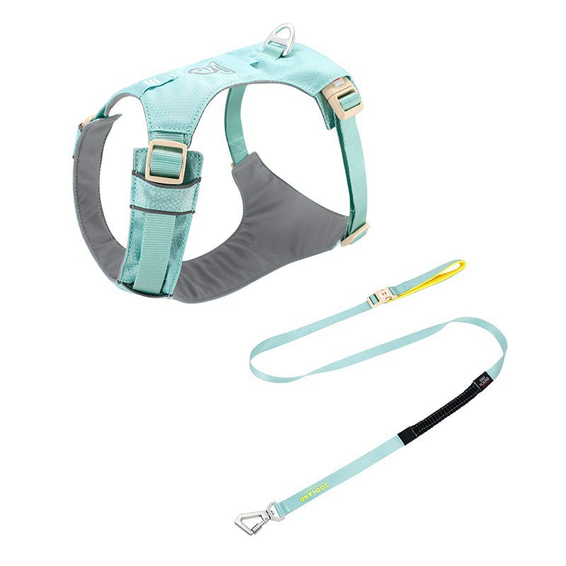 Premium Dog Harness and Leash