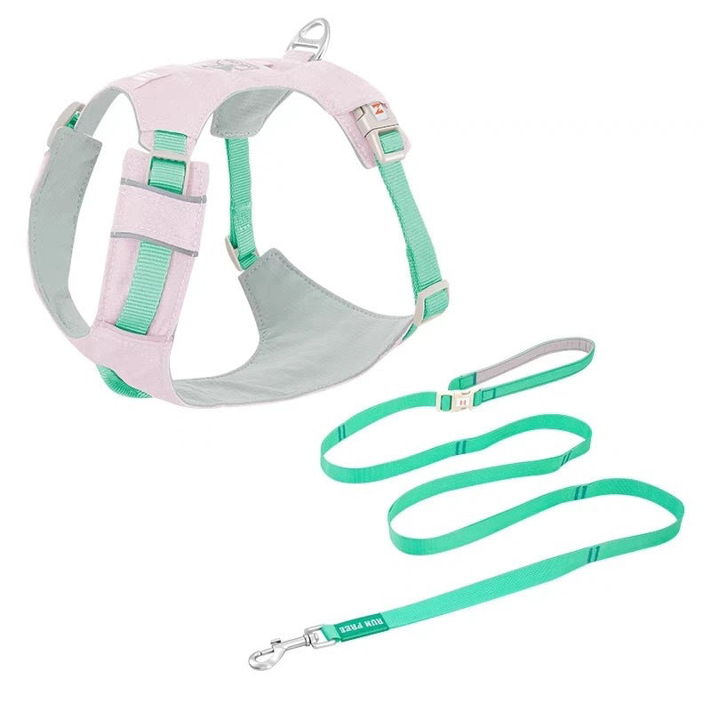 Premium Dog Harness and Leash